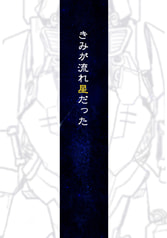 きみが流れ星だった