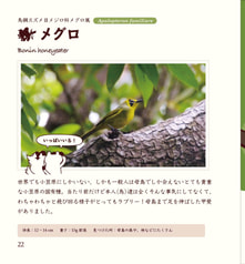 サンプル画像 No.4
