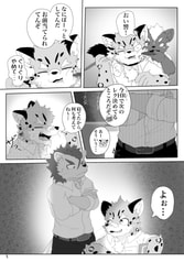 Sample No.3