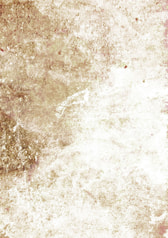サンプル画像 No.6