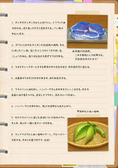 サンプル画像 No.5