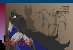 It's raining BATS & CATS