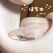 はちゅVOL２