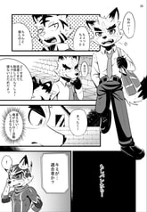 Sample No.1
