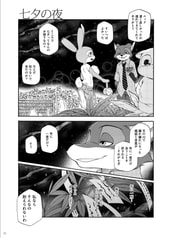 サンプル画像 No.4
