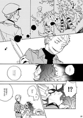 Sample No.5