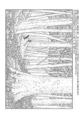 サンプル画像 No.2