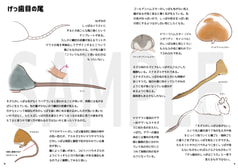 サンプル画像 No.4