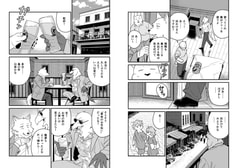 Sample No.5