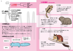 サンプル画像 No.4