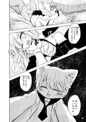 Sample No.5