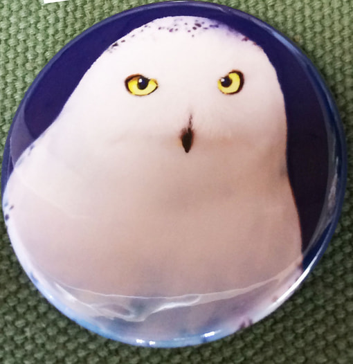 シロフクロウ44ｍｍ缶バッジ