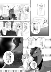 Sample No.5