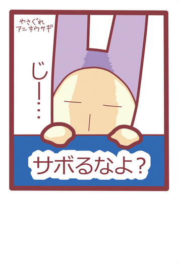 やさぐれアニキウサギポストカード３