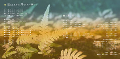 サンプル画像 No.2