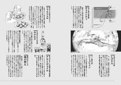 サンプル画像 No.4
