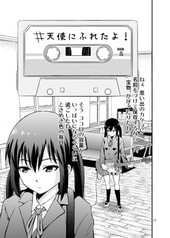 サンプル画像 No.5