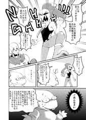 Sample No.5