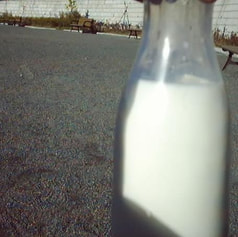 MILK