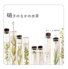 硝子のなかの水草
