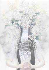 白い夜