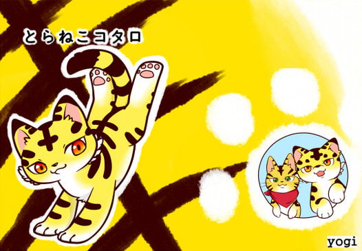 とらねこコタロ