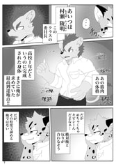 Sample No.5
