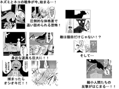 サンプル画像 No.5