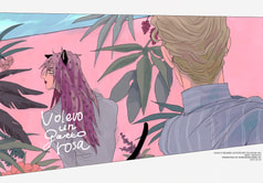 Volevo un gatto rosa