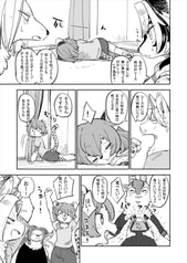 Sample No.5