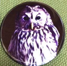 フクロウ44mm缶バッジ
