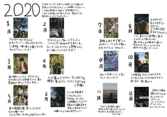 サンプル画像 No.3