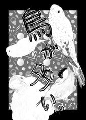 鳥が多い。