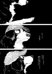 サンプル画像 No.2