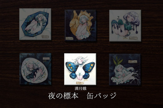 夜の標本缶バッジ「満月蛾」【全6種】
