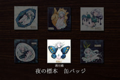 夜の標本缶バッジ「満月蛾」【全6種】