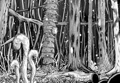 サンプル画像 No.2