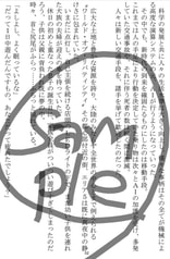 Sample No.2