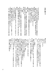 Sample No.1