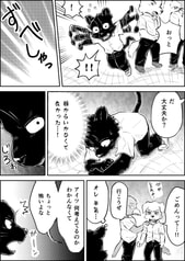 Sample No.5