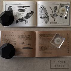 サンプル画像 No.1
