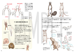 サンプル画像 No.5