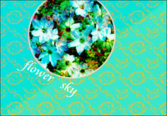 flower　sky