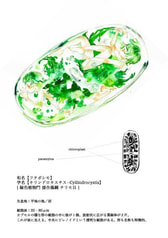 サンプル画像 No.3