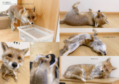 サンプル画像 No.3