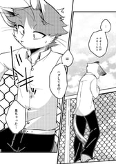 サンプル画像 No.5