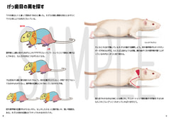 サンプル画像 No.3