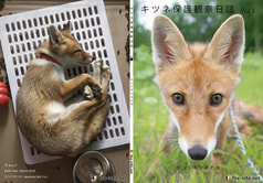 サンプル画像 No.4