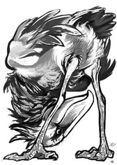 サンプル画像 No.3
