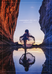commonplace view vol.3	